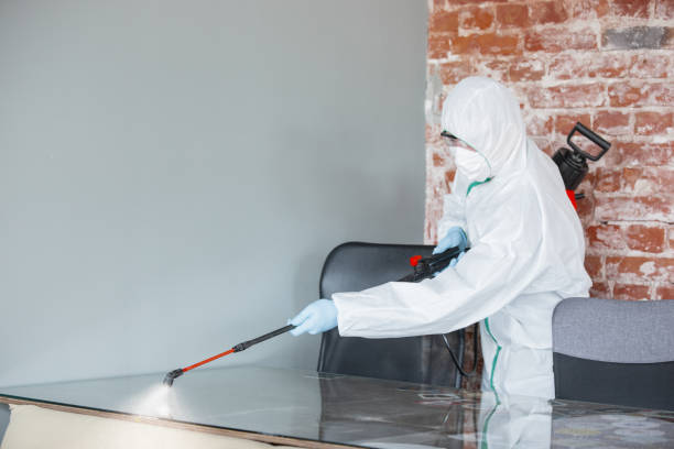 Professional Mold Removal Services in Plain City, OH