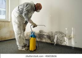 Best Water Damage & Mold Remediation  in Plain City, OH